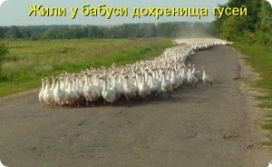 Платный доступ для сайта